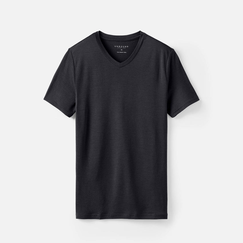 Merino Wool Men's V-Neck T-Shirt
